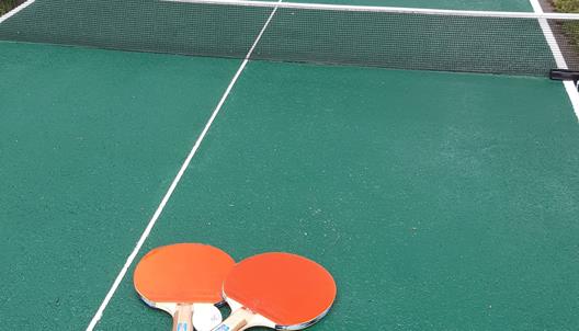 Tisch-Tennis